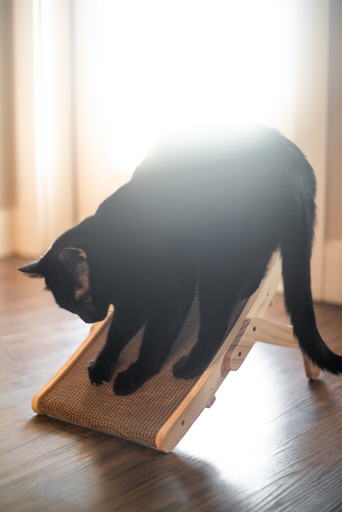 2-in-1 Wooden Scratcher & Lounger