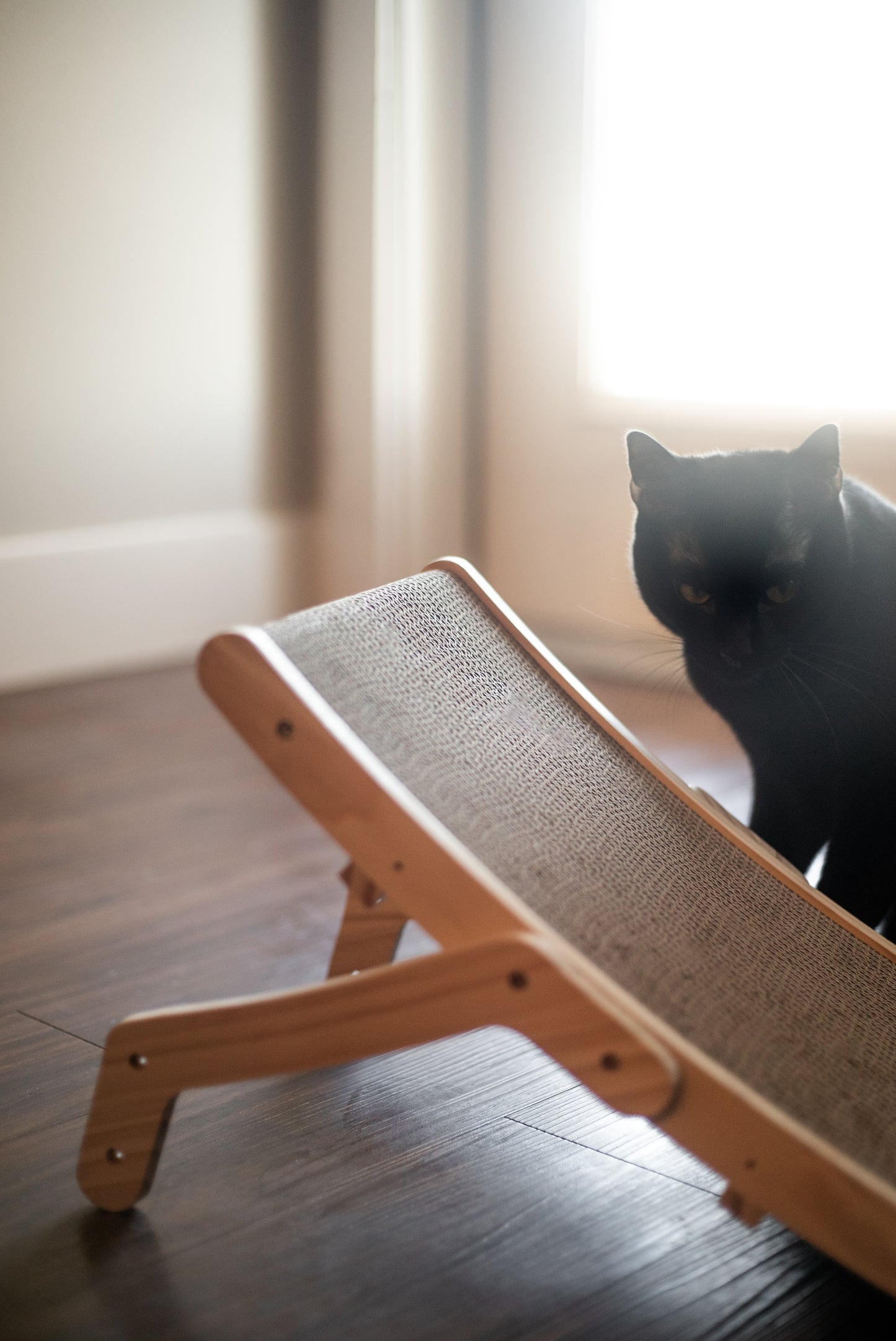 2-in-1 Wooden Scratcher & Lounger