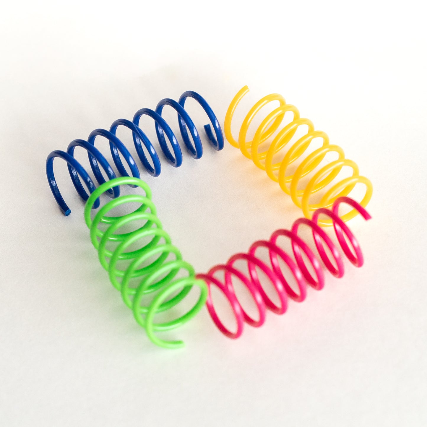 Colorful Cat Springs