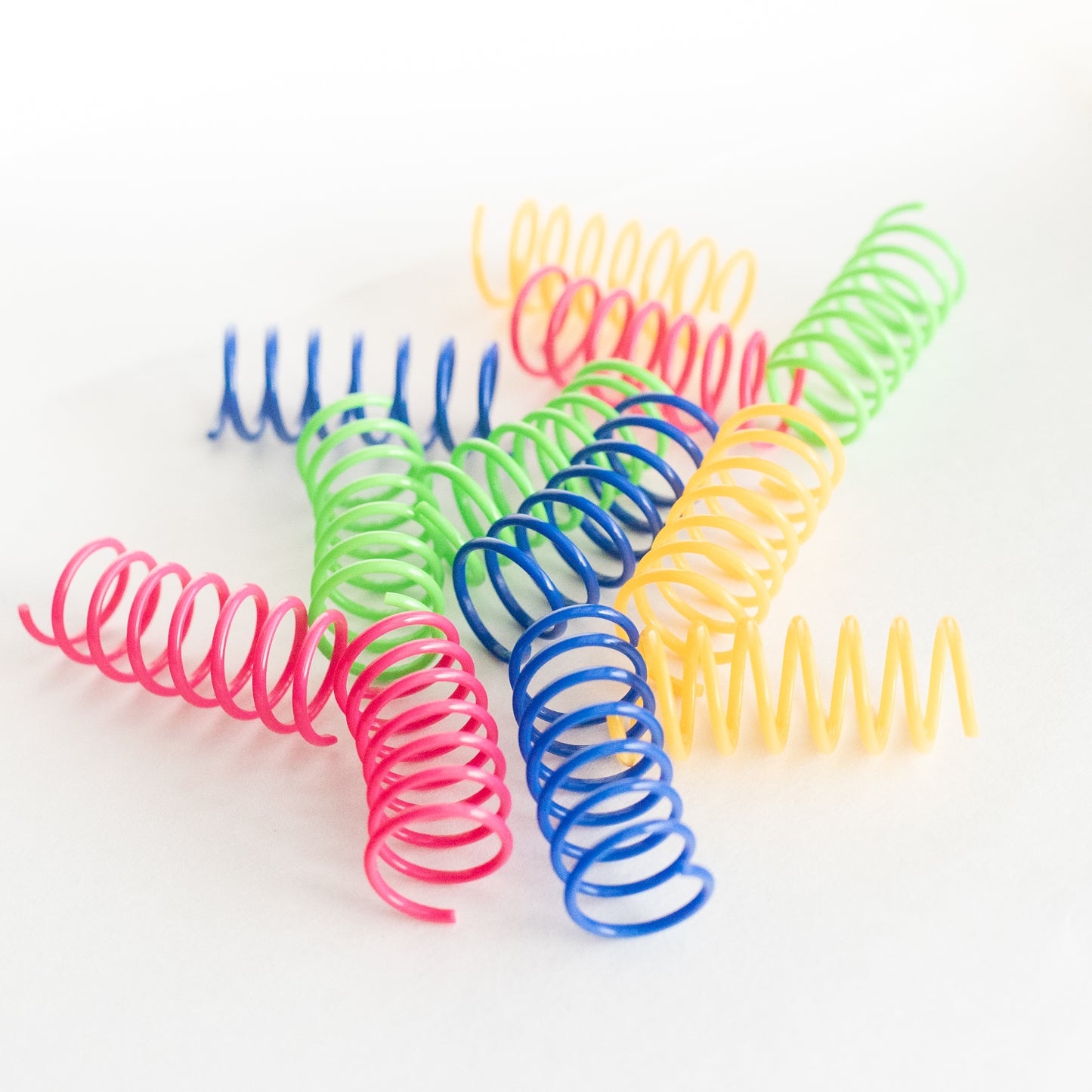 Colorful Cat Springs
