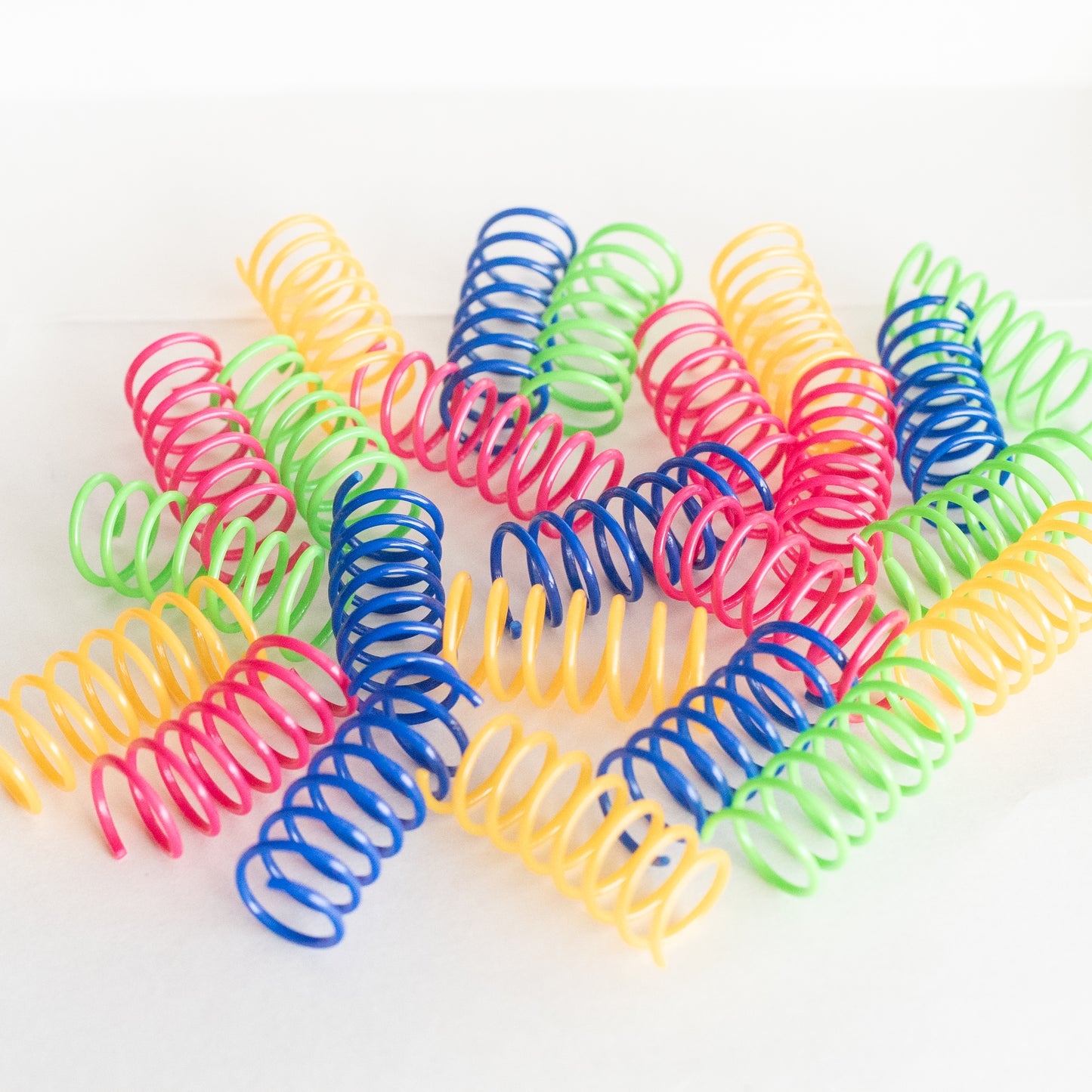 Colorful Cat Springs
