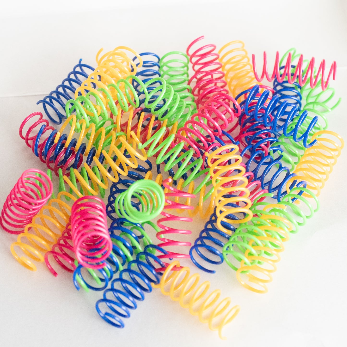 Colorful Cat Springs