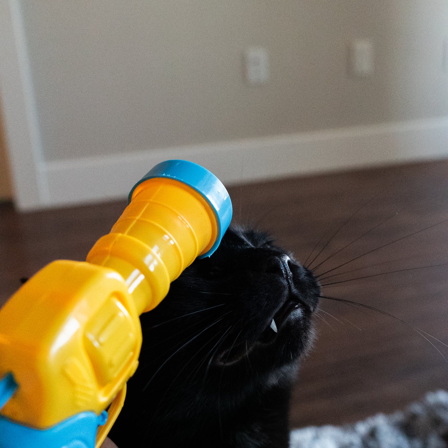 Pom-Pom Launcher