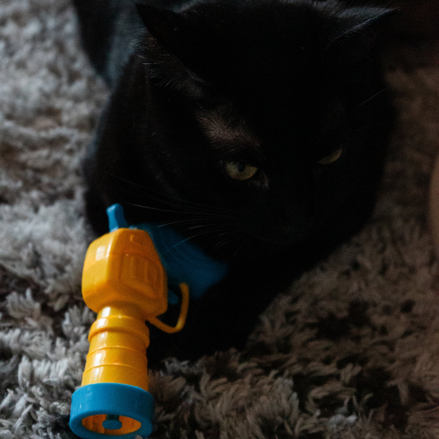 Pom-Pom Launcher