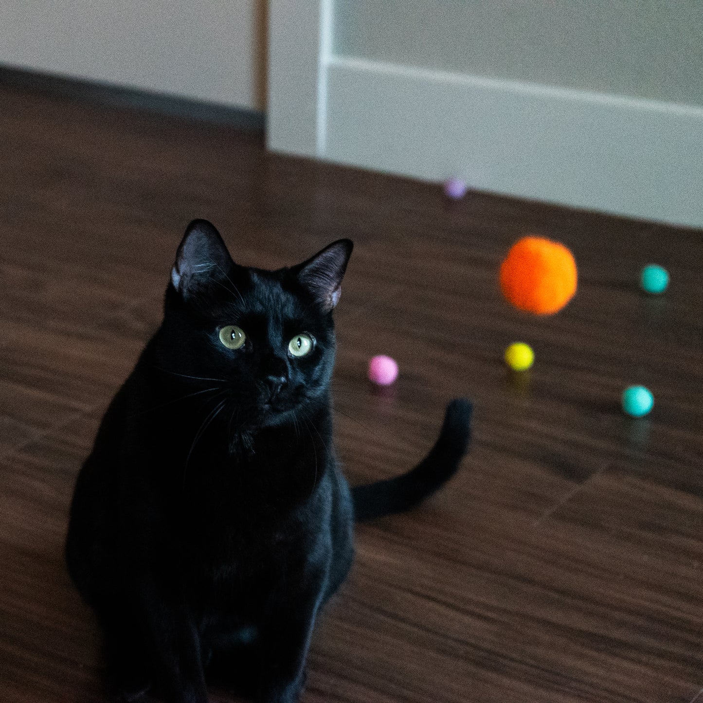 Pom-Pom Launcher