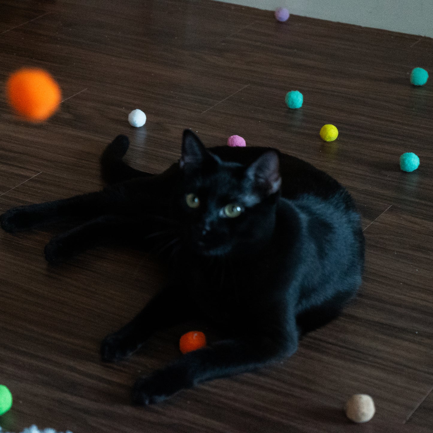 Pom-Pom Launcher