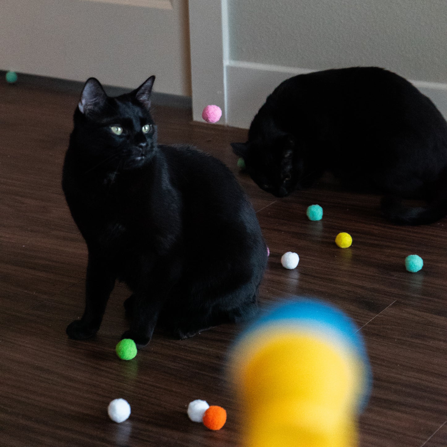 Pom-Pom Launcher
