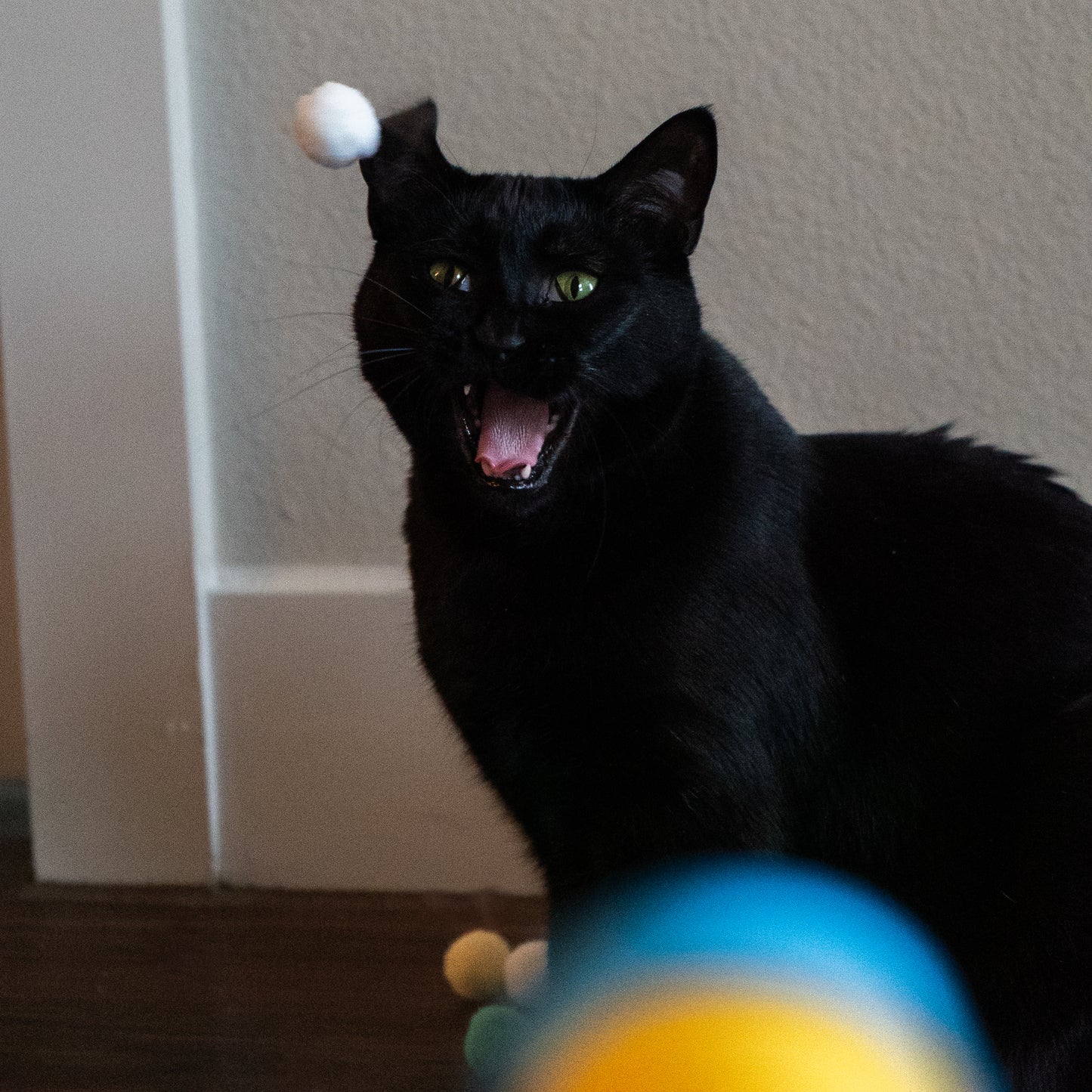 Pom-Pom Launcher