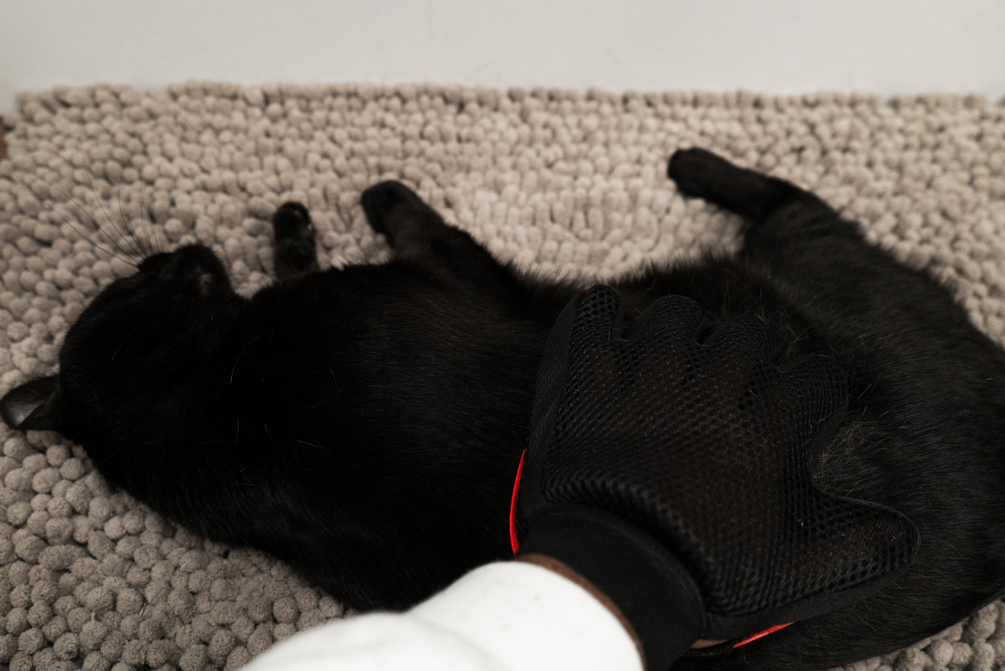 Silicone Grooming Gloves