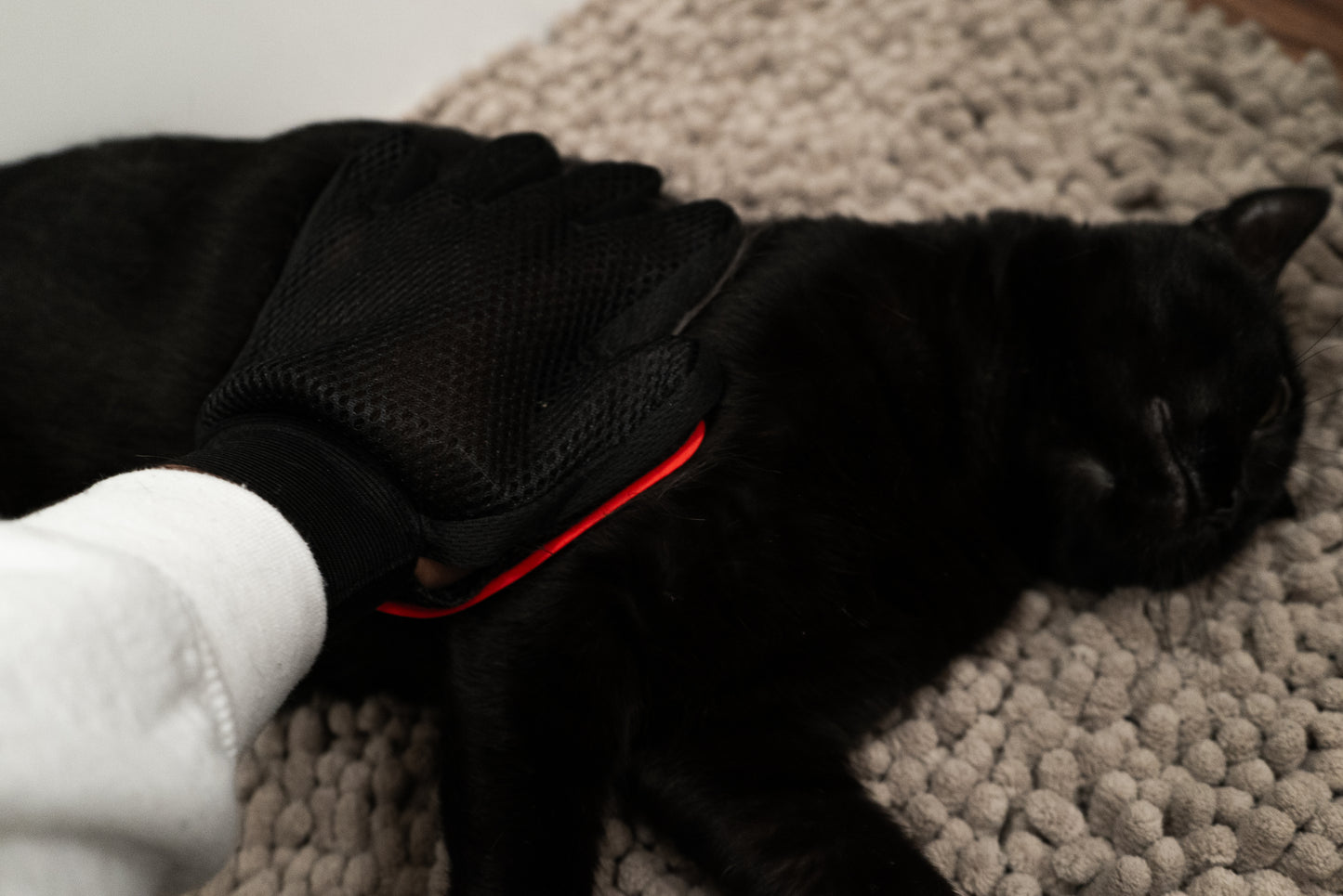 Silicone Grooming Gloves