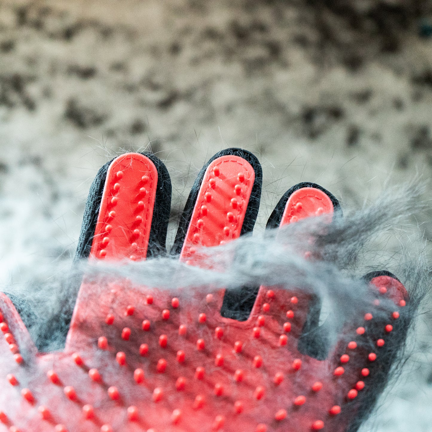 Silicone Grooming Gloves