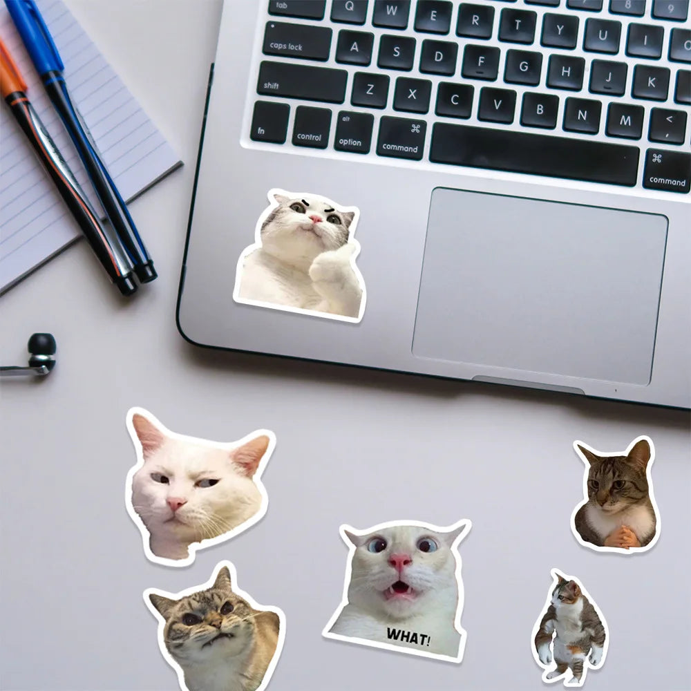 Cat Meme Sticker Pack
