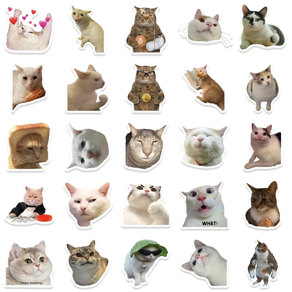 Cat Meme Sticker Pack