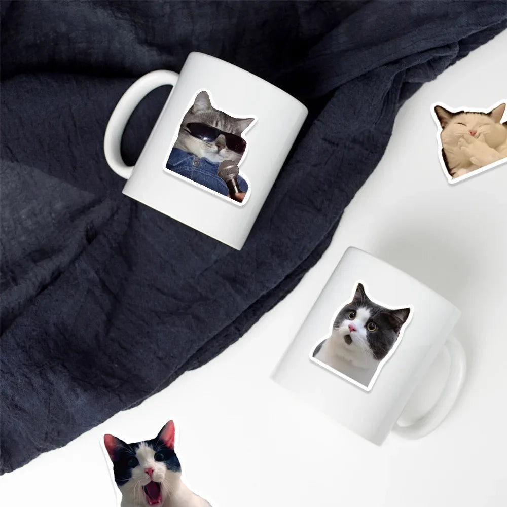 Cat Meme Sticker Pack