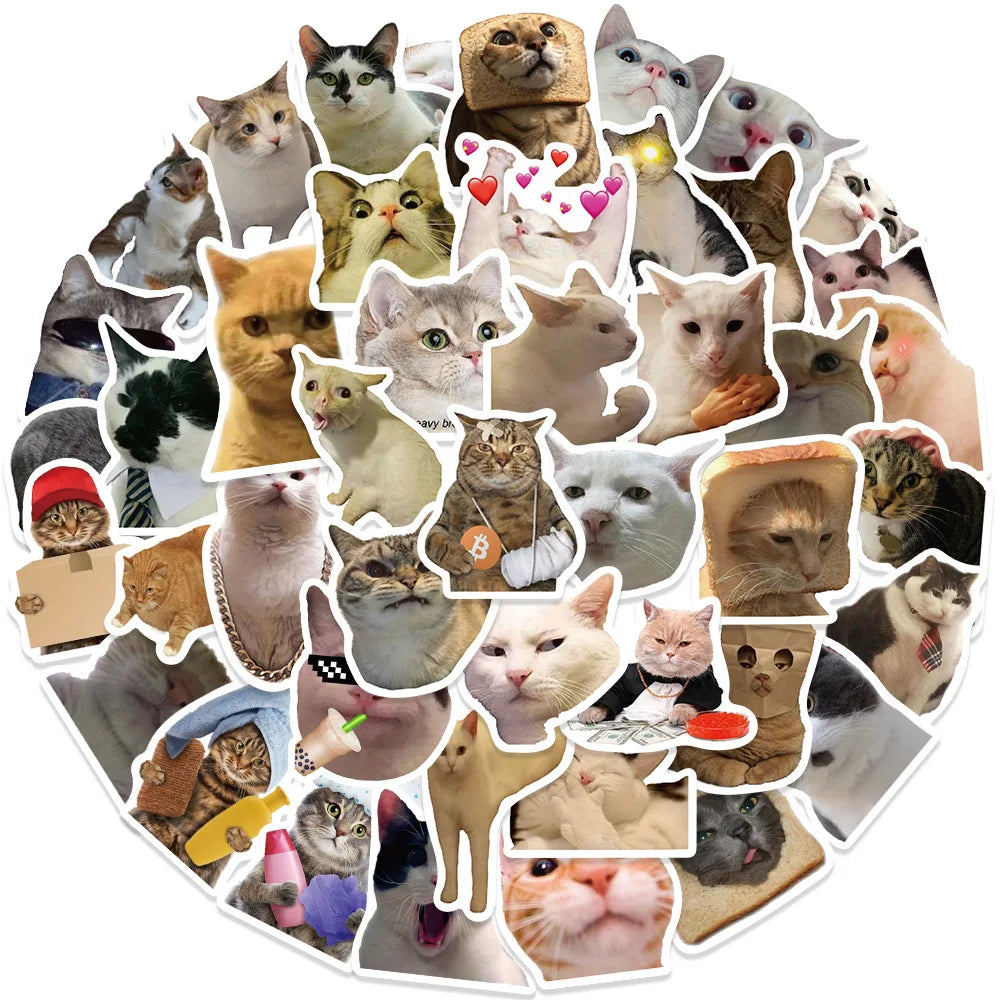 Cat Meme Sticker Pack