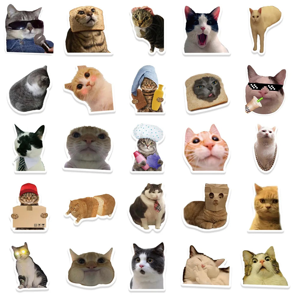 Cat Meme Sticker Pack