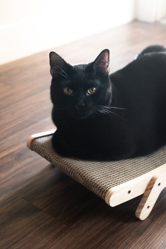 2-in-1 Wooden Scratcher & Lounger