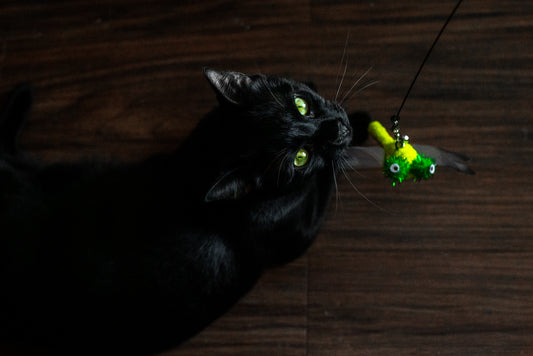 Stick & Swipe Suction Teaser