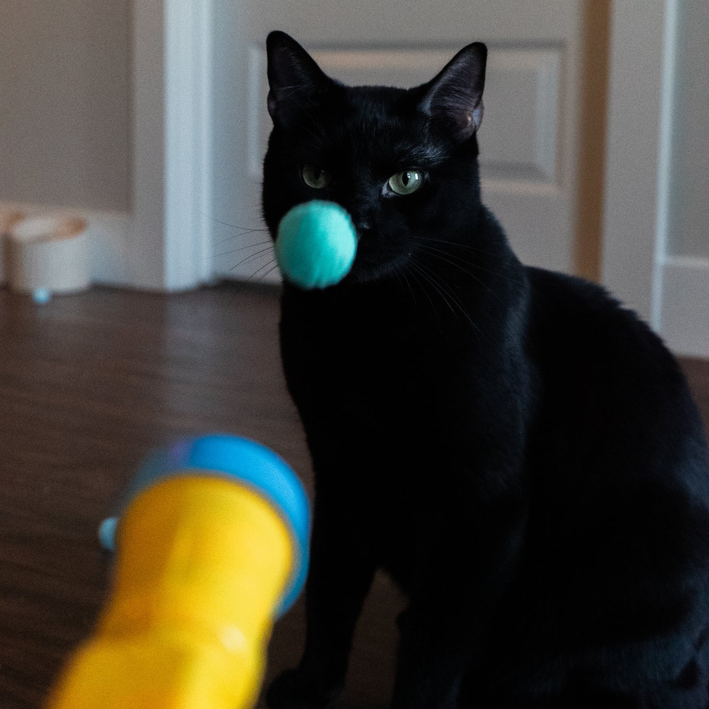 Pom-Pom Launcher