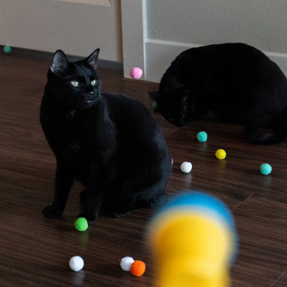 Pom-Pom Launcher