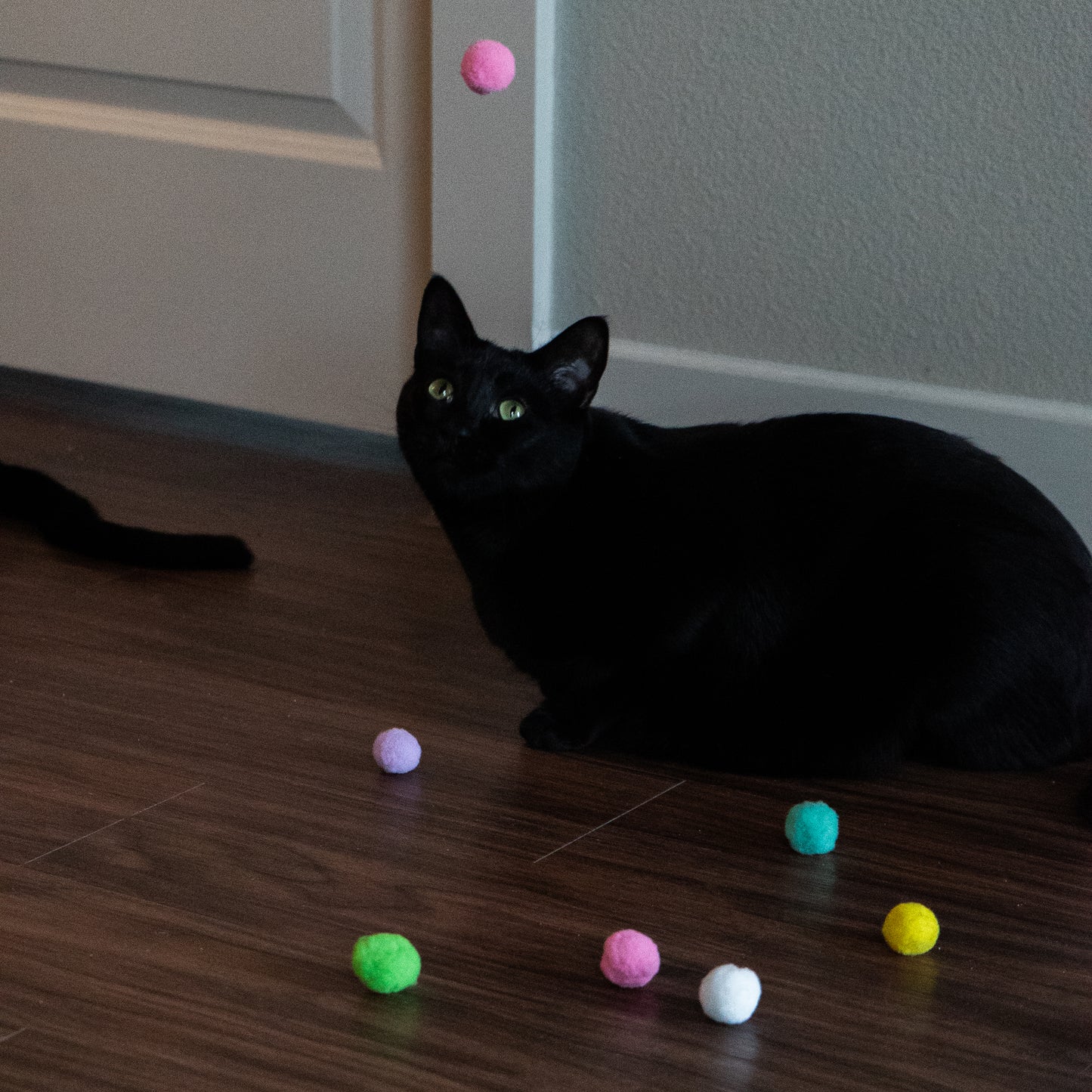 Pom-Pom Launcher