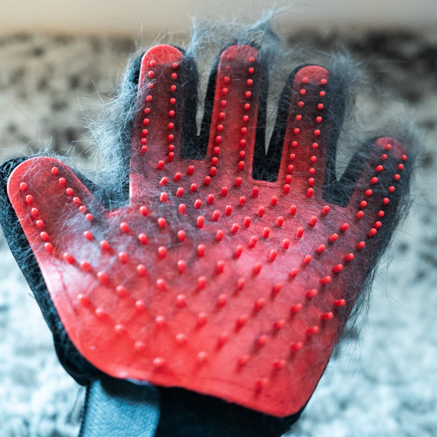 Silicone Grooming Gloves