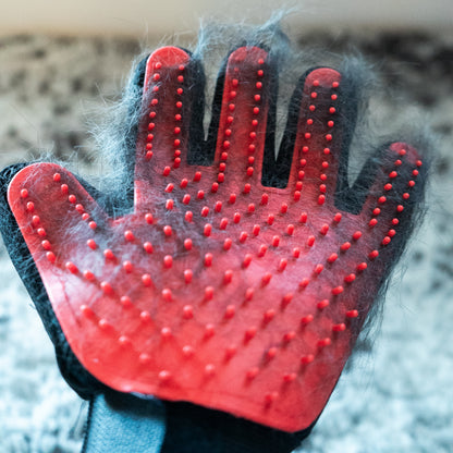 Silicone Grooming Gloves