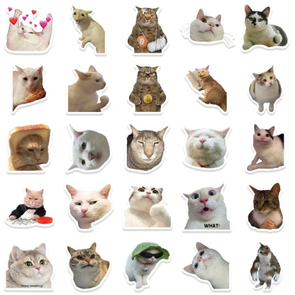 Cat Meme Sticker Pack