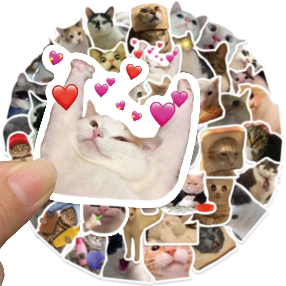Cat Meme Sticker Pack