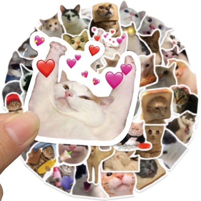 Cat Meme Sticker Pack