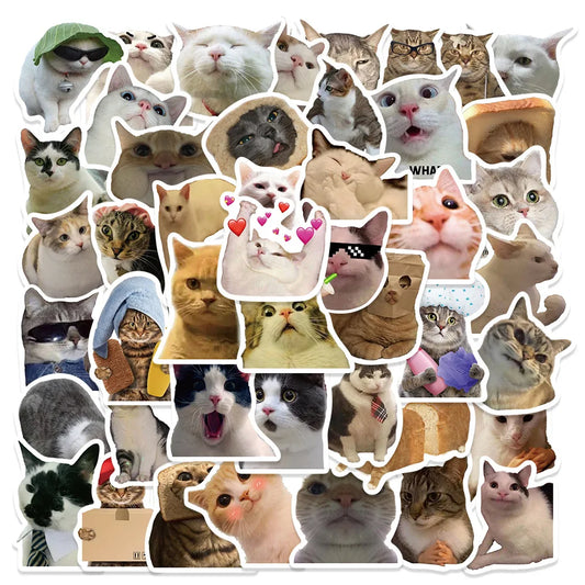 Cat Meme Sticker Pack